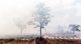 Agosto também é o mês de prevenção e combate aos incêndios e queimadas