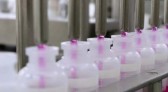 Tecpar fornecerá 26 milhões de doses da vacina antirrábica veterinária ao governo federal