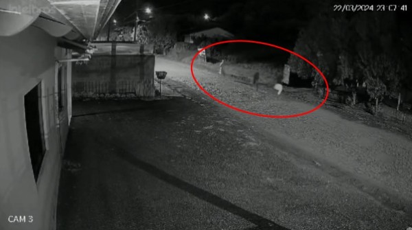Suspeito de assassinato é preso preventivamente pela Polícia Civil