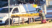 Vendedor de bananas faz oração antes de começar o trabalho e vídeo emociona milhões nas redes sociais