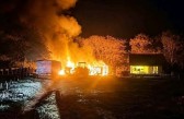 Incêndio destrói curral e mata gado e suínos em propriedade rural