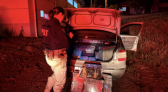 Motorista é preso com 200 quilos de maconha após receber droga em Dionísio Cerqueira