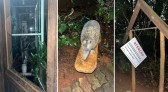 Mulher danifica objetos públicos nas proximidades do Bosque Municipal