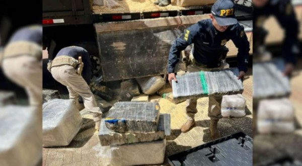 PRF apreende 2,6 toneladas de maconha escondidas em carga de madeira na BR-277
