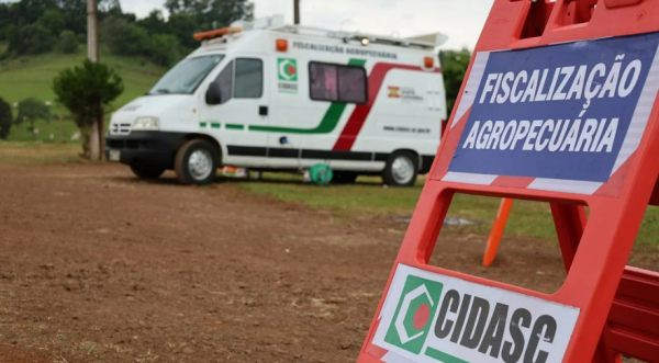 Cidasc confirma segundo foco de Newcastle no Oeste de SC; 15 granjas têm testes negativos