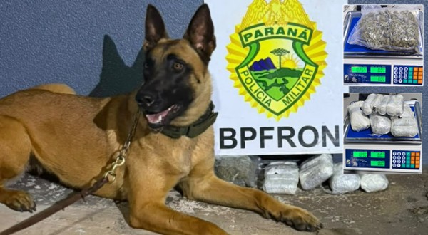 BPFRON prende jovem de 18 anos com maconha e haxixe