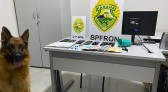 BPFRON apreendem menor por tráfico de drogas