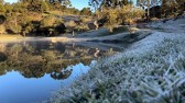 Paraná bate recorde de frio de 2024 com -3,9ºC, diz Simepar