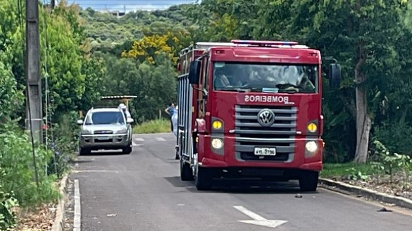 Homem é atacado por enxame de abelhas e fica em choque anafilático
