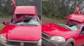 Árvore cai sobre carro durante vendaval na PR-473
