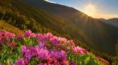 Primavera começa amanhã com El Niño forte; veja o que esperar
