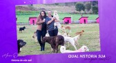 Mari Olivier conta história de mulher que cuida de quase 80 cães em sua casa