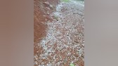 Granizo e chuva forte são registados