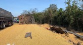 Motorista de caminhão sofre ferimentos graves após tombamento na BR-163