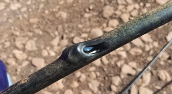 Disparo de arma de fogo deixa moradores sem sinal de internet no interior