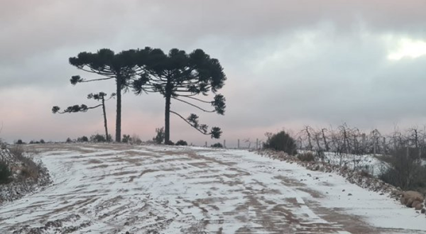 Massa de ar polar traz neve a 23 municípios, geada e temperaturas negativas para SC