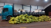 Caminhão carregado com vinhos e azeites é apreendido na fronteira
