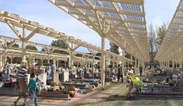 Cidade fez do cemitério uma fonte de energia solar para moradores