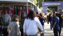 Desemprego no trimestre cai para menor taxa da série histórica