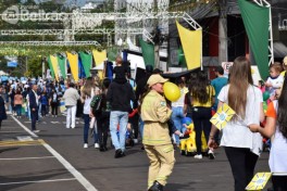 Desfile de independência reúne milhares de pessoas em Francisco Beltrão