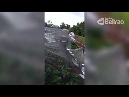 Chuva de granizo atinge propriedade em Beltrão