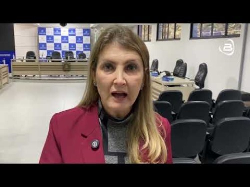 Combate à violência contra a mulher ganha destaque no legislativo