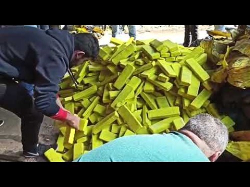 Polícia incinera mais de meia tonelada de drogas em Marmeleiro