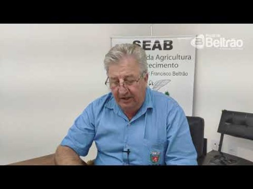 Cerca de 290 hectares de soja serão plantados no Sudoeste